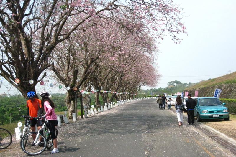 烏山頭水庫風景區香榭大道（照片來源：烏山頭水庫風景區官網）https://bit.ly/2CD0u8x