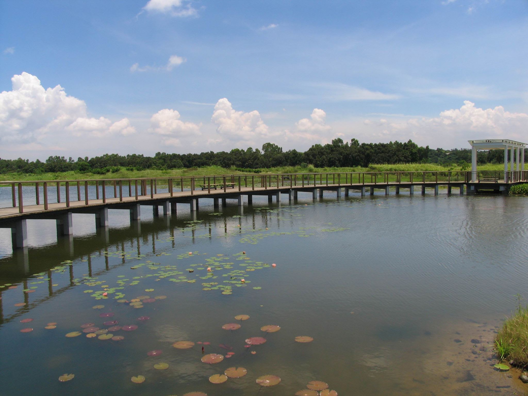 香港濕地公園,圖片取自香港濕地公園 Hong Kong Wetland Park FB粉絲團。 香港濕地公園,圖片取自香港濕地公園 Hong Kong Wetland Park FB粉絲團。