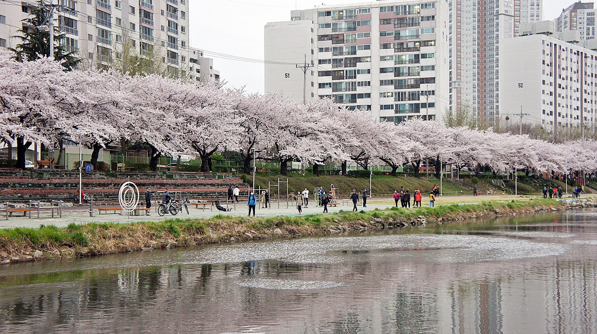 溫泉川市民公園 來源:flickr@Junoo Kim 溫泉川市民公園 來源:flickr@Junoo Kim