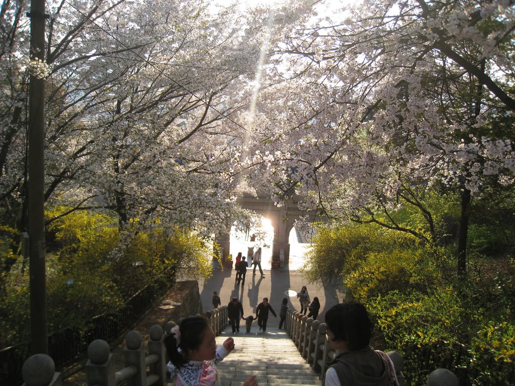 仁川自由公園 來源:flickr@Klayton Kim 仁川自由公園 來源:flickr@Klayton Kim
