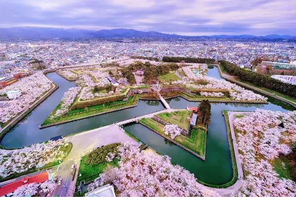 五角星形狀的標誌性賞櫻名勝「五稜郭公園」。（圖片取自gogonews.cc）