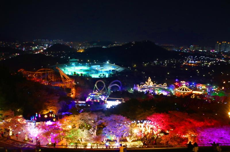 E WORLD星光櫻花節(照片來源:E WORLD內容企劃組)http://www.eworld.kr/main/main.htm E WORLD星光櫻花節(照片來源:E WORLD內容企劃組)http://www.eworld.kr/main/main.htm