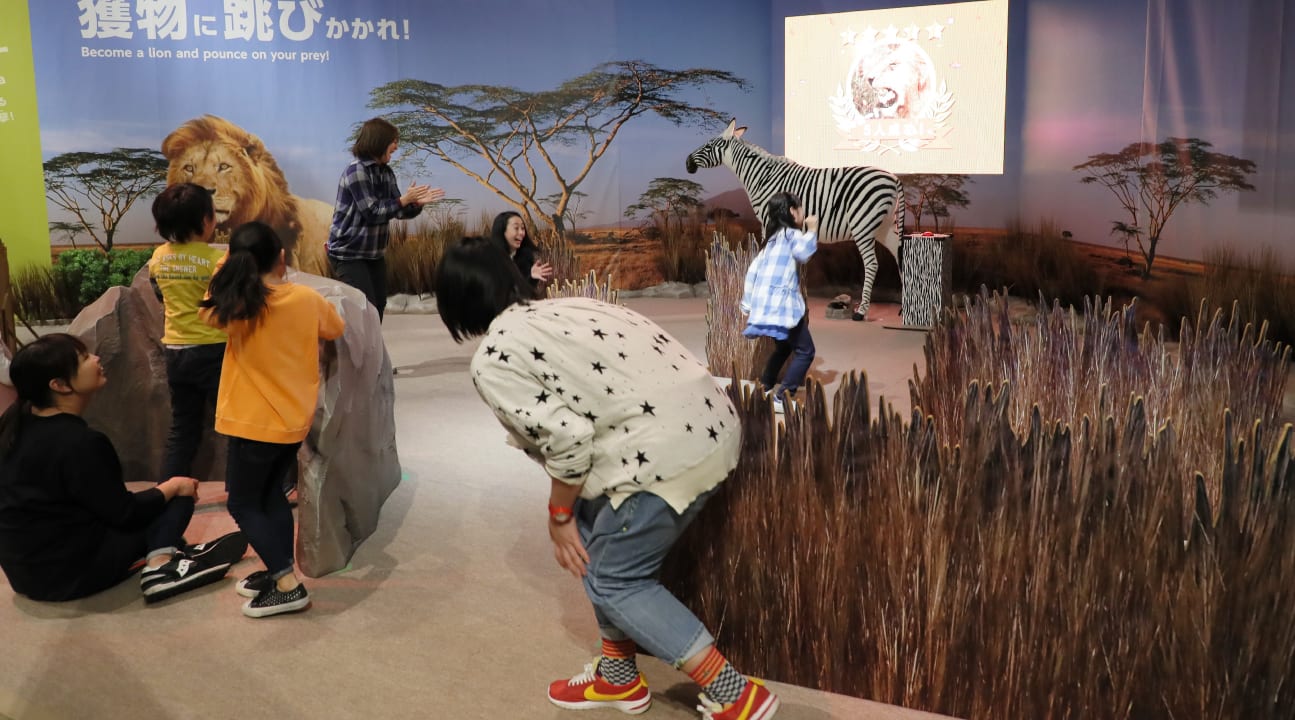 台北展覽,變變變!MOVE生物體驗展,奇蹟草原。 台北展覽,變變變!MOVE生物體驗展,奇蹟草原。