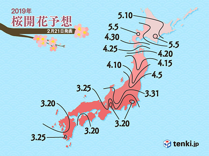 2019年櫻花開花、滿開預測(第2回)2/21 發表