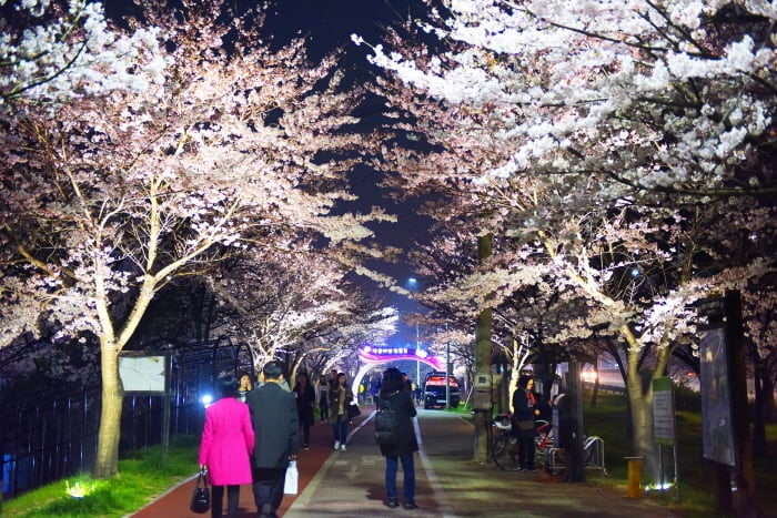 三樂生態公園 來源:韓國觀光公社 三樂生態公園 來源:韓國觀光公社