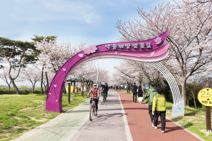 三樂生態公園 來源:韓國觀光公社 三樂生態公園 來源:韓國觀光公社