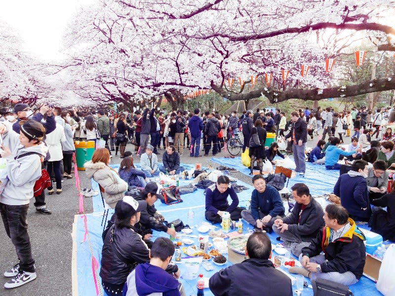 上野恩賜公園,Flickr授權作者 Dick Thomas Johnson,http://t.cn/EqXTTe3 上野恩賜公園,Flickr授權作者 Dick Thomas Johnson,http://t.cn/EqXTTe3