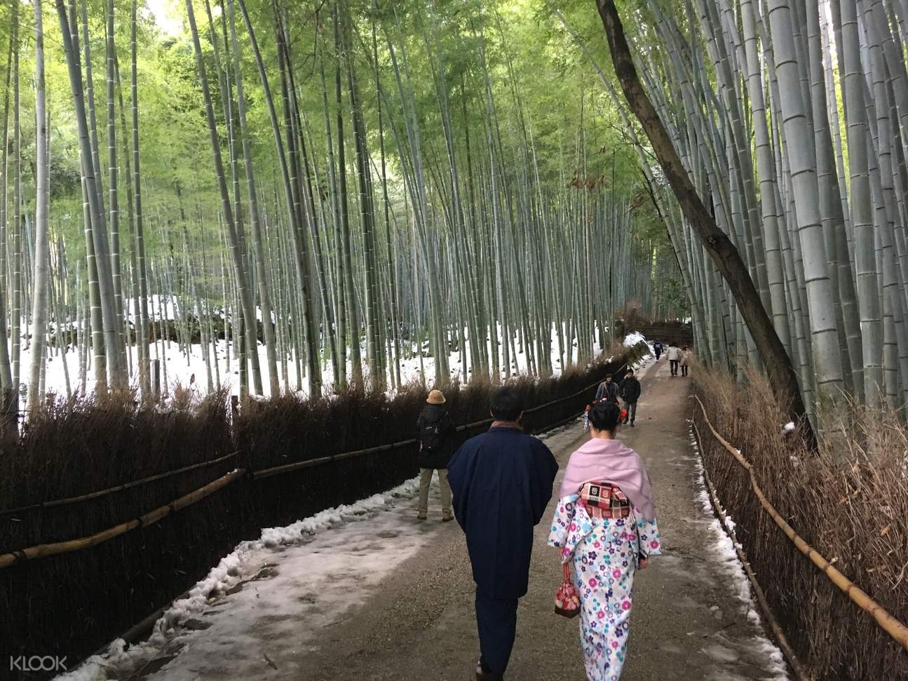 漫步嵯峨野的竹林小徑,感受風吹竹葉的天籟之音。