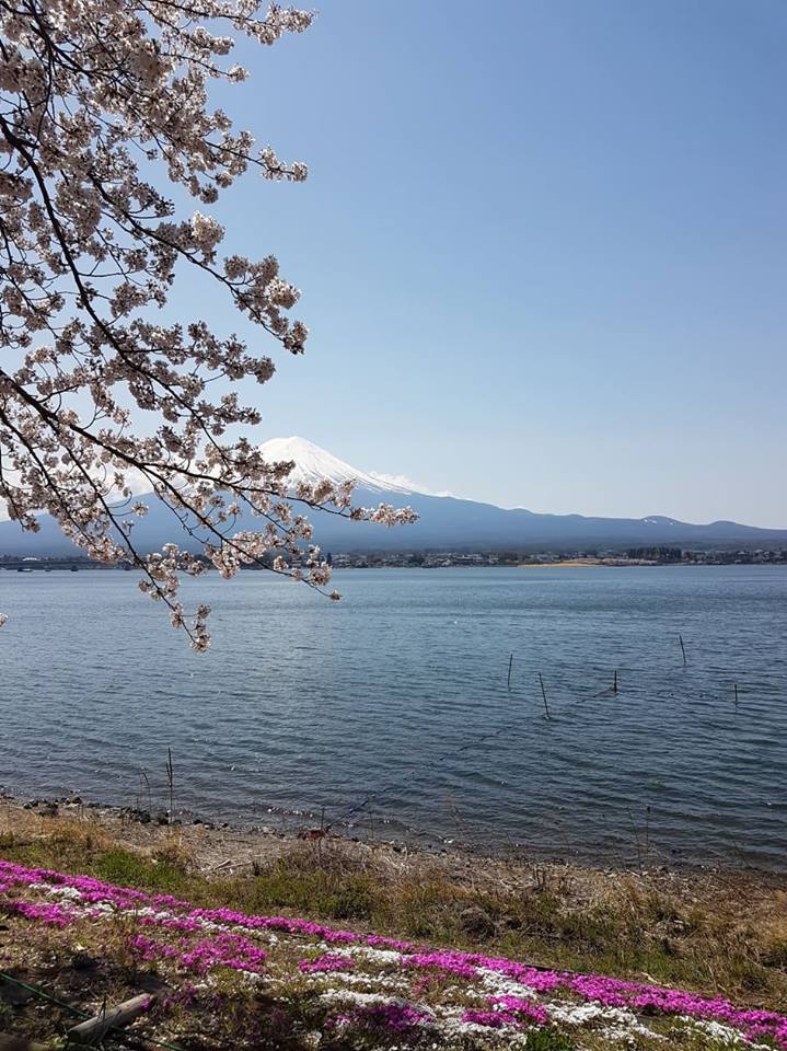 大石公園,photo by Artshen 大石公園,photo by Artshen