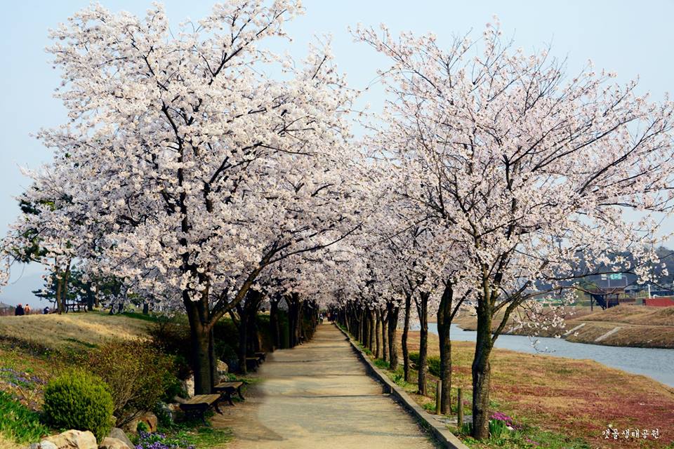 始興河溝生態公園 來源:fb@Let's go 多彩京畿道 始興河溝生態公園 來源:fb@Let's go 多彩京畿道