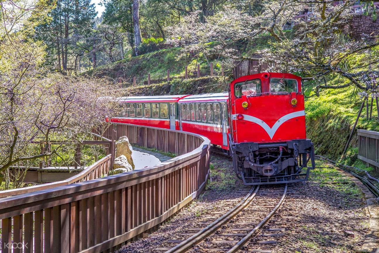 搭乘阿里山小火車,沿途欣賞盛開的櫻花 搭乘阿里山小火車,沿途欣賞盛開的櫻花