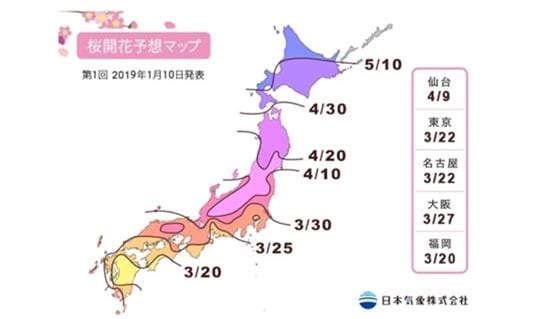 櫻花預測開花時間,取自日本氣象株式會社 櫻花預測開花時間,取自日本氣象株式會社