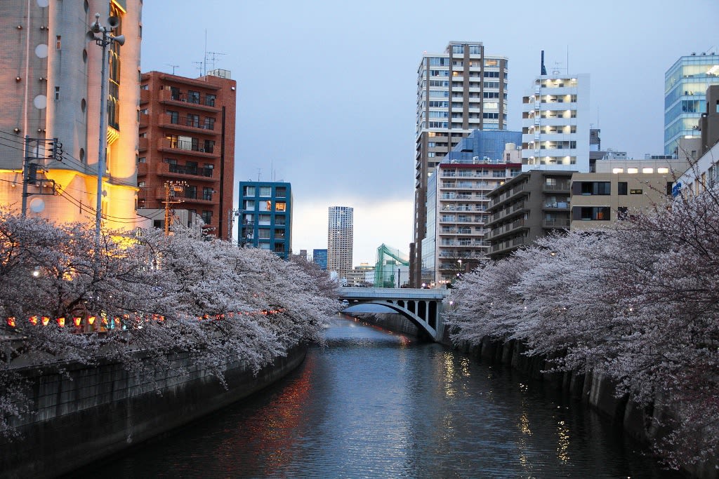 目黑川,Flickr授權作者班森,http://t.cn/EqX8kwn 目黑川,Flickr授權作者班森,http://t.cn/EqX8kwn