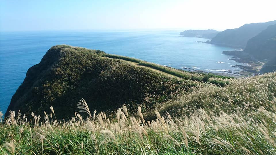 草嶺古道芒草季 來源:fb @necoast.nsa 草嶺古道芒草季 來源:fb @necoast.nsa
