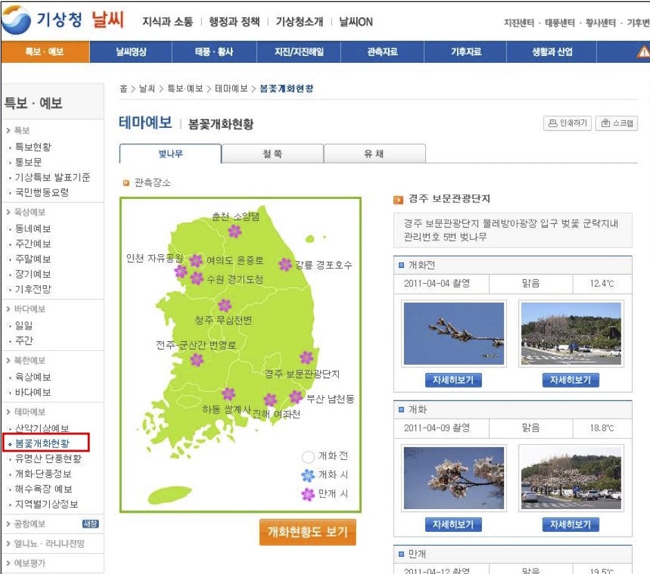 韓國氣象廳櫻花預報 來源:韓國氣象廳 韓國氣象廳櫻花預報 來源:韓國氣象廳