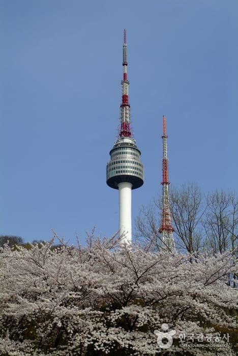 首爾南山公園 來源:韓國觀光公社 首爾南山公園 來源:韓國觀光公社