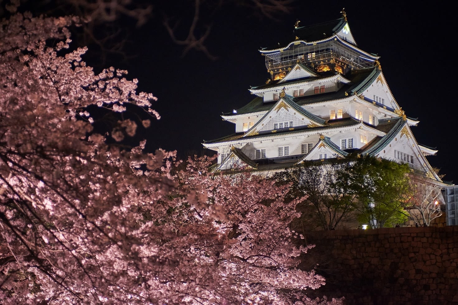 大阪城夜櫻 來源：osakacastlepark.jp