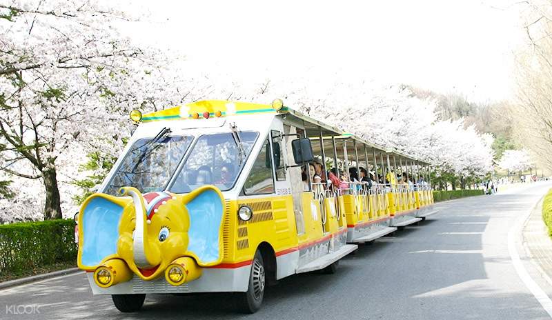 乘坐大象列車遊園賞櫻！