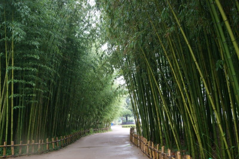 太和江大公園,圖片取自decemberrose71.tistory.com。 太和江大公園,圖片取自decemberrose71.tistory.com。