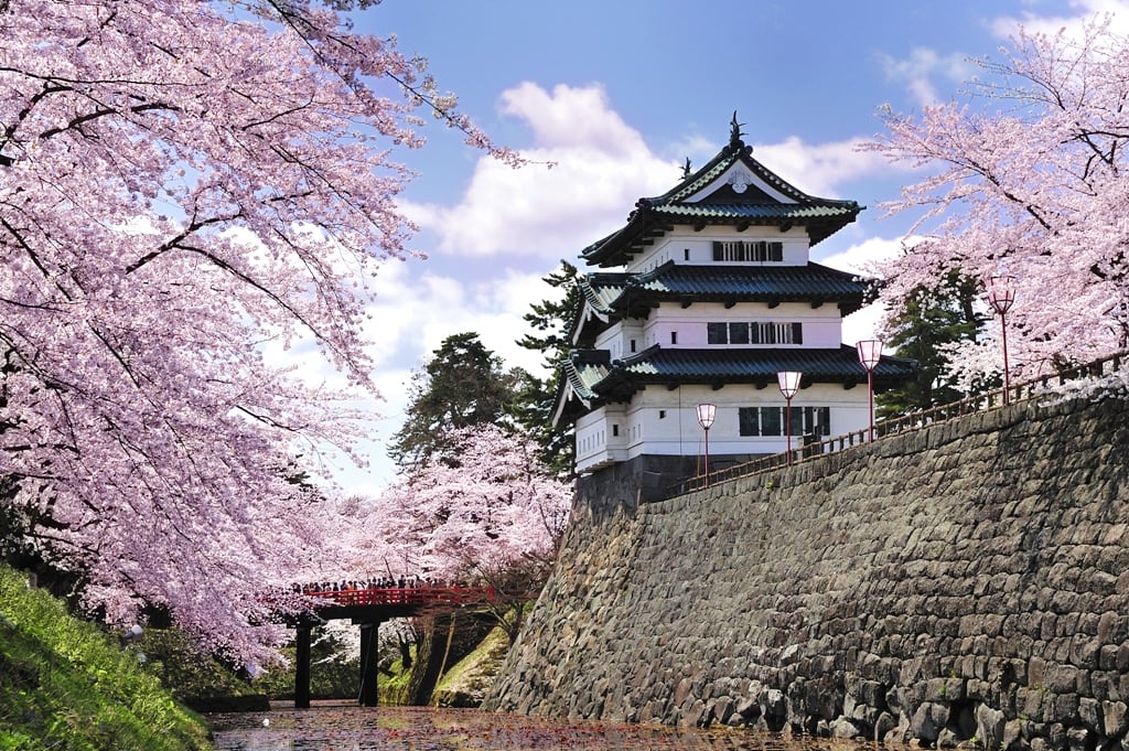 城山公園為戰國時代保留的遺址，是個超人氣賞櫻景點（圖片取自ume2013.blog.so-net.ne.jp）