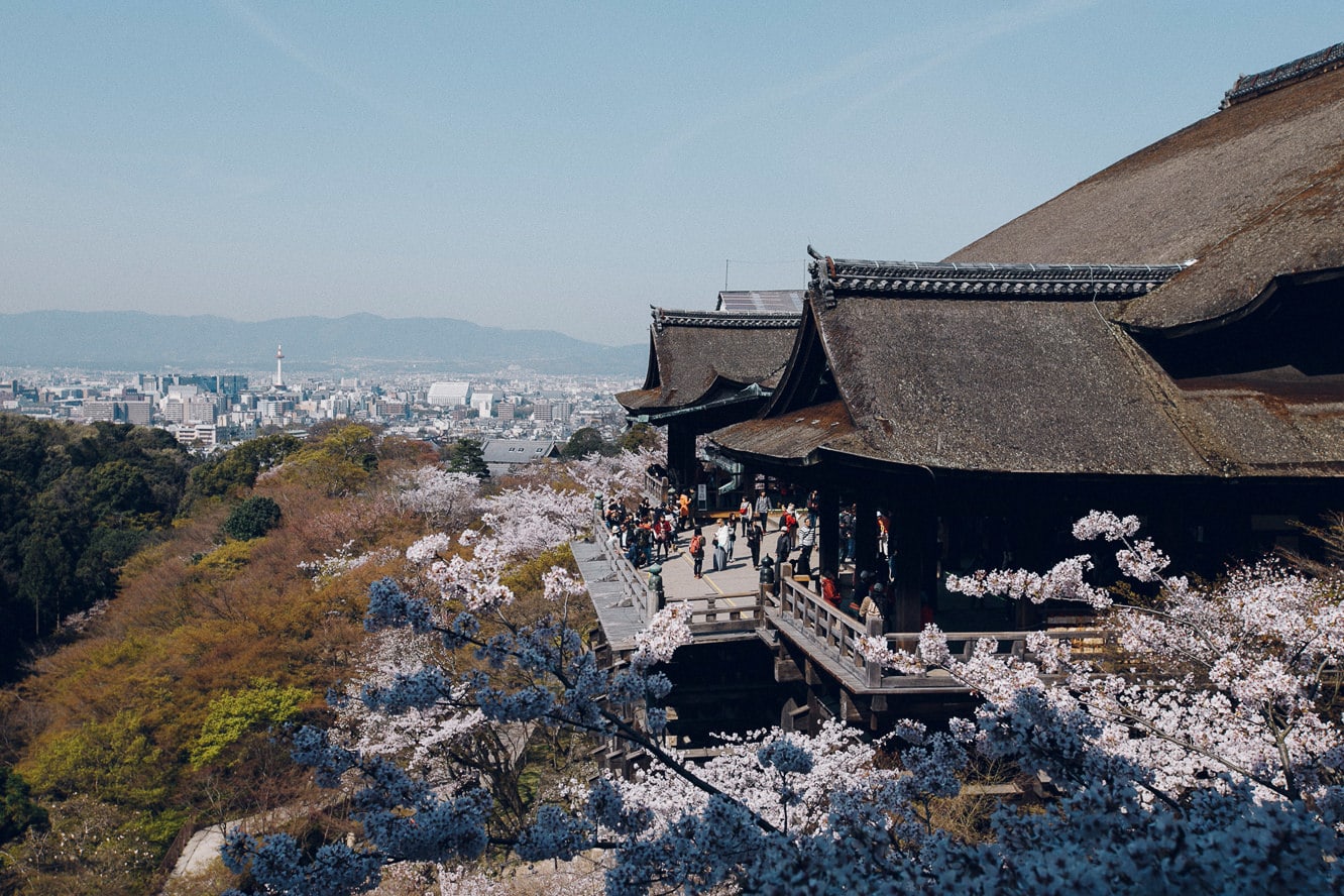 京都賞櫻名所清水寺 來源:www.kiyomizudera.or.jp.jpg 京都賞櫻名所清水寺 來源:www.kiyomizudera.or.jp.jpg