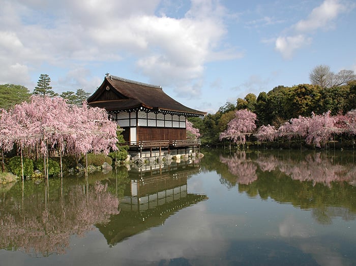 春天的平安神宮 來源:www.kyototourism.org 春天的平安神宮 來源:www.kyototourism.org