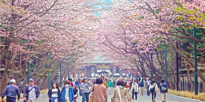 位在札幌圓山公園內的北海道神宮 來源：札幌觀光協會官網