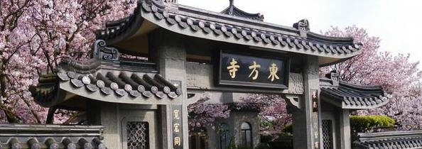 台灣櫻花景點:陽明山,圖片取自www.waytogo.cc。 台灣櫻花景點:陽明山,圖片取自www.waytogo.cc。