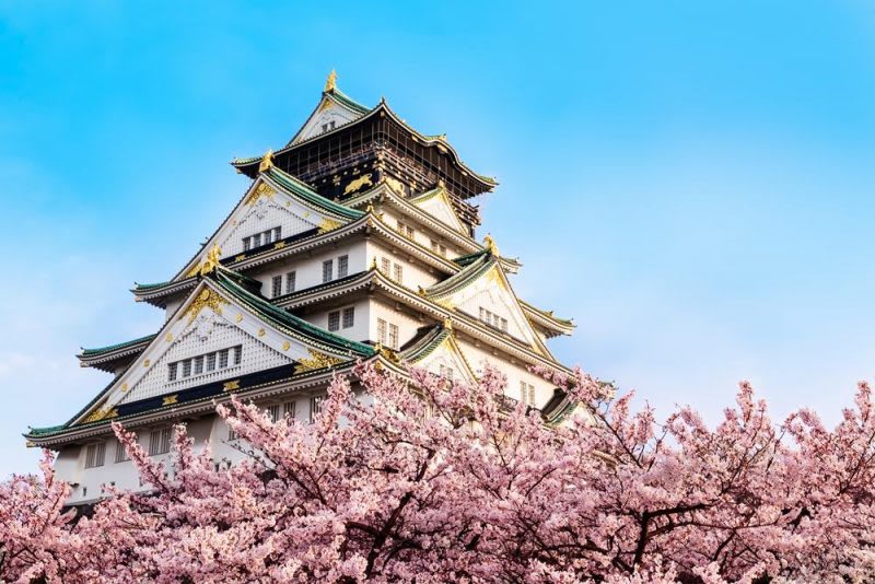 大阪城的櫻花是春季旅行時的熱門去處) 大阪城的櫻花是春季旅行時的熱門去處)