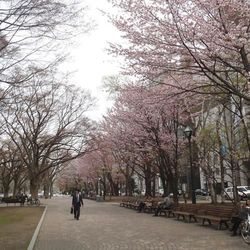 大通公園 來源:大通公園官網 大通公園 來源:大通公園官網