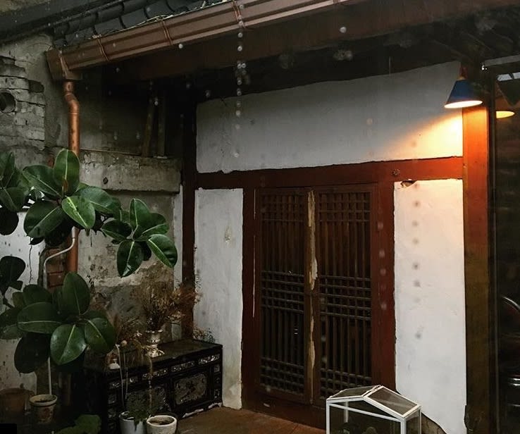 ▲ 保留古老韓屋元素,別具風韻。(圖片來源:IG@sikmul) 益善洞-植物