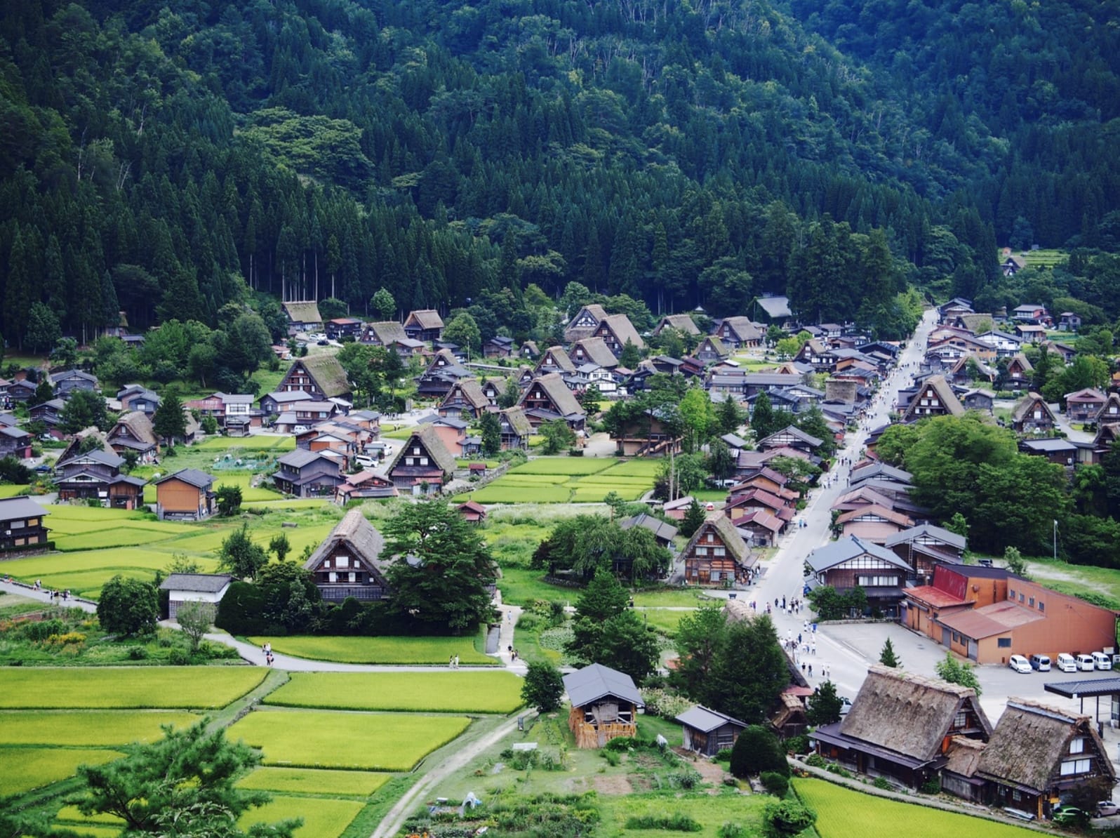 從展望台眺望的合掌村聚落。(圖片來源:4travel.jp)