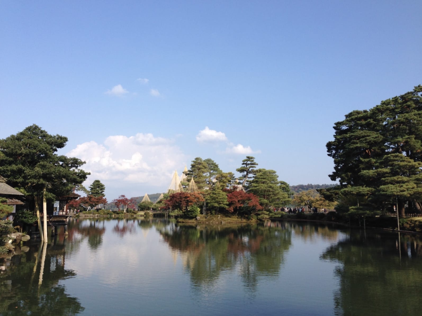春意盎然的金澤兼六園。(圖片來源:4travel.jp)