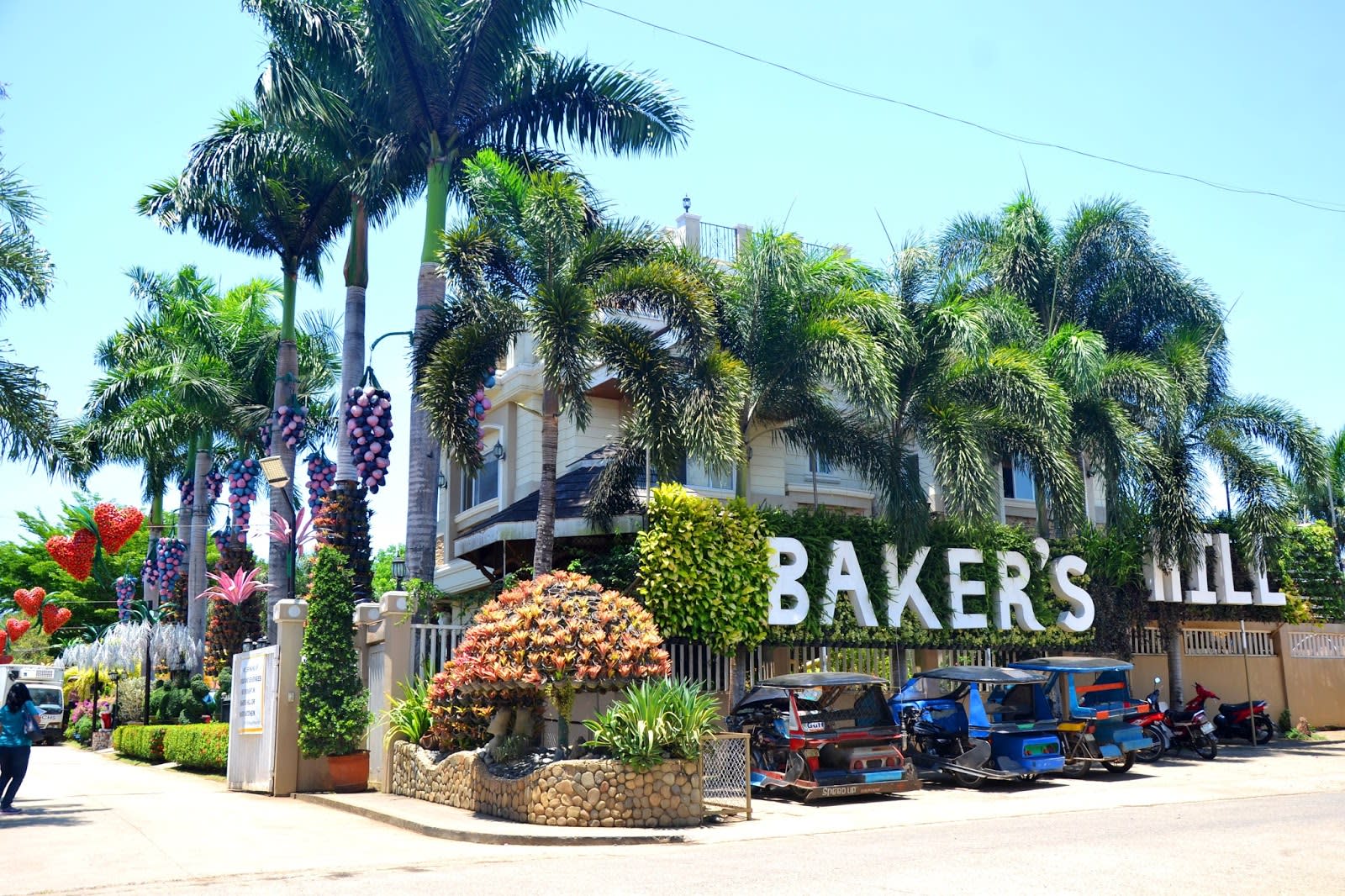 圖片取自https://nicerioadventures.blogspot.com/2018/02/palawan-bakers-hill.html