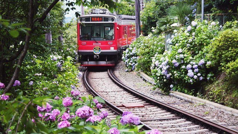 圖片取自https://www.japan-guide.com/e/e5202.html