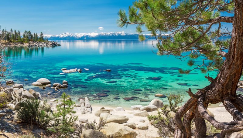 圖片取自buckinghamtahoerentals官網