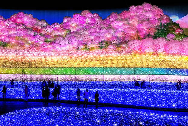 名古屋名花之里的千本櫻光雕春景