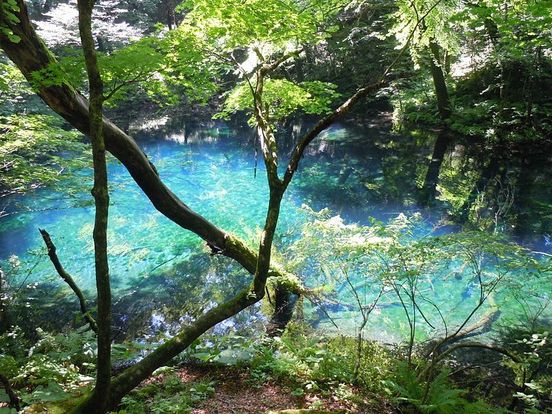 位於白神山地的十二湖，湖水在自然作用下形成清澈的藍綠色