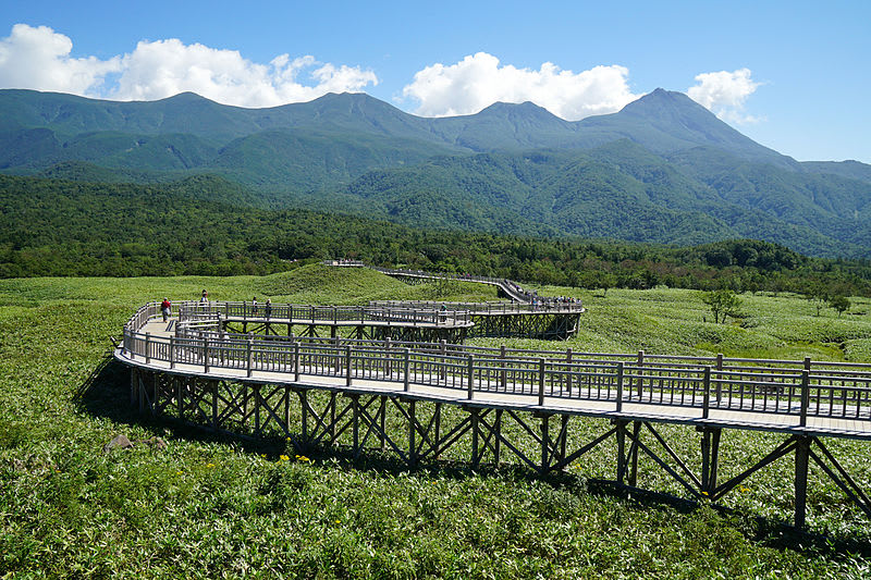 知床五湖的高架木橋，讓遊客可以近距離觀察生態，又不會破壞環境。
