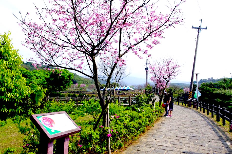 圖片取自travelking網站
