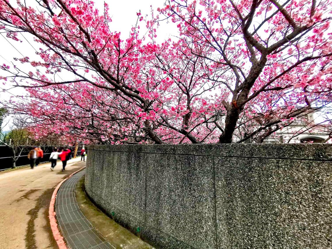 圖片取自foncc網站