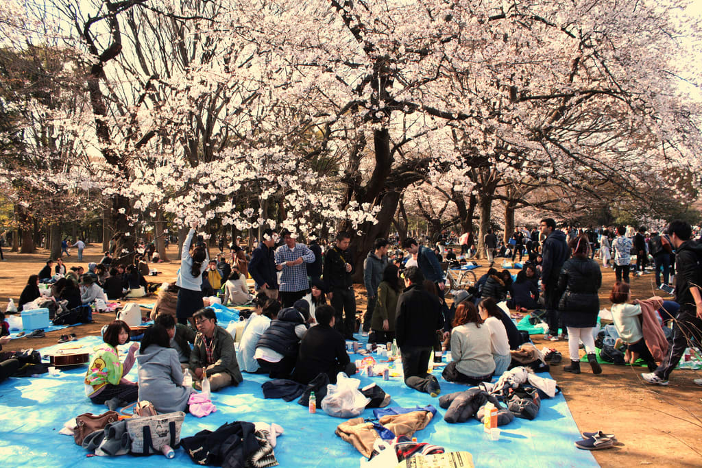Klook客路・探索未知的你 人 比 花 多 PHOTO | flickr CC editor Blondinrikard Fröberg