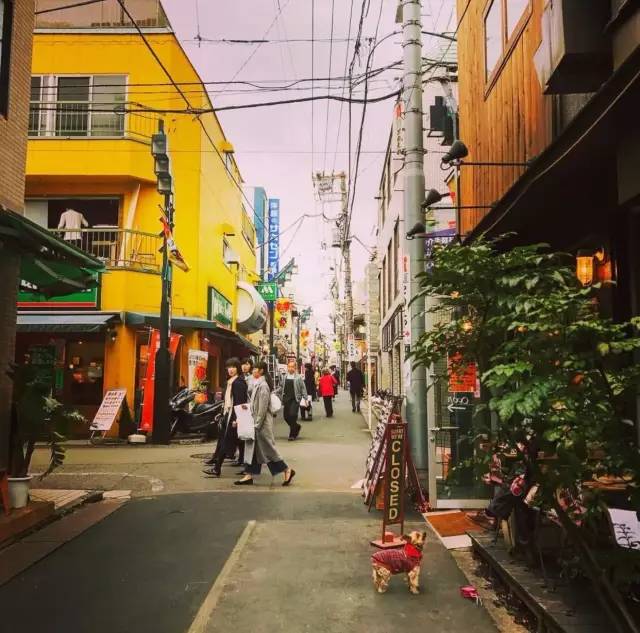 Pic︱instagram@shery821