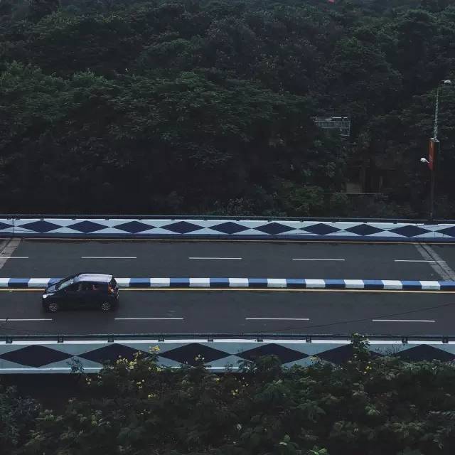 從 博 物 館 向 外 望 出 去 , 有 一 條 穿 梭 林 間 的 公 路 。