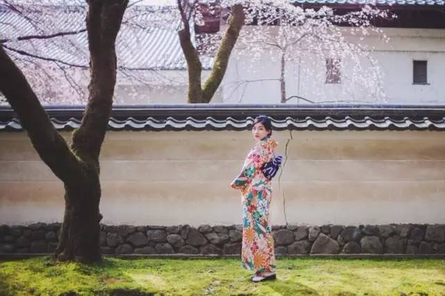 Klook客路・探索未知的你 櫻 花 妹 , 櫻 花 剪 影