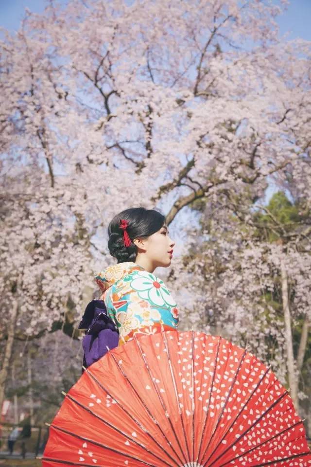 Klook客路・探索未知的你 你 是 眾 粉 嫩 中 的 , 一 抹 艷 紅