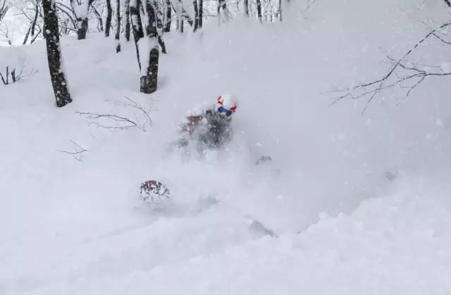 這 裡 有 著 日 本 獨 有 的 粉 雪。