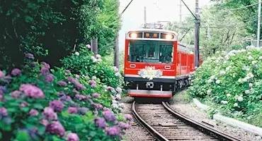 Pic | 箱 根 登 山 電 車 官網
