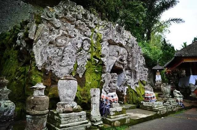 聖 猴 森 林 公 園 。