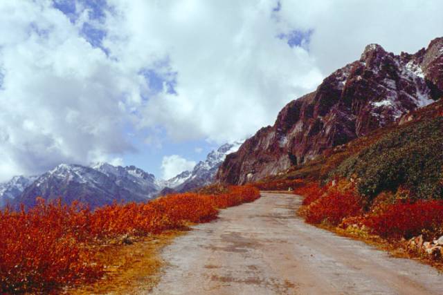 去 往 雲 塘 山 谷 的 路 上 。 Flickr: Uday Mulay